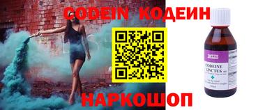 шишки Дубна