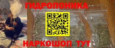 шишки Дубна