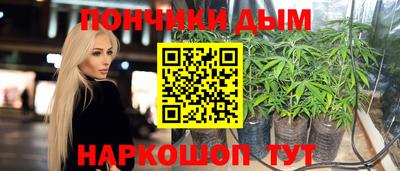 шишки Дубна