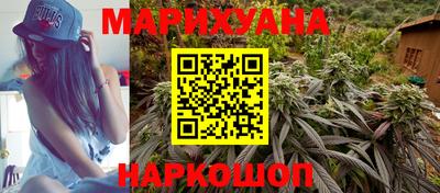 шишки Дубна